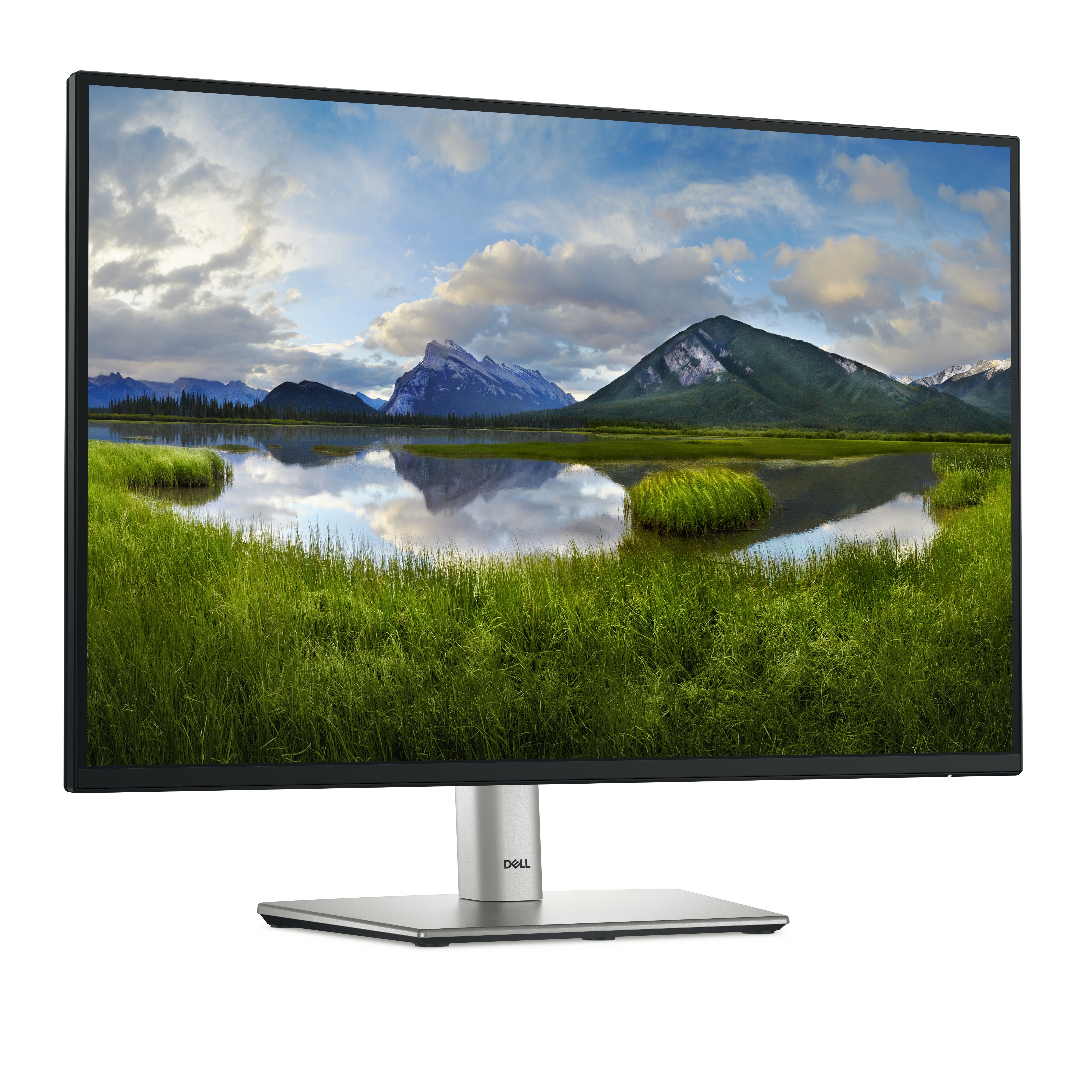 DELL Pro 24 Plus USB-C Hub Monitor P2425E écran plat de PC 61,1 cm (24.1") 1920 x 1200 pixels WUXGA LCD Noir