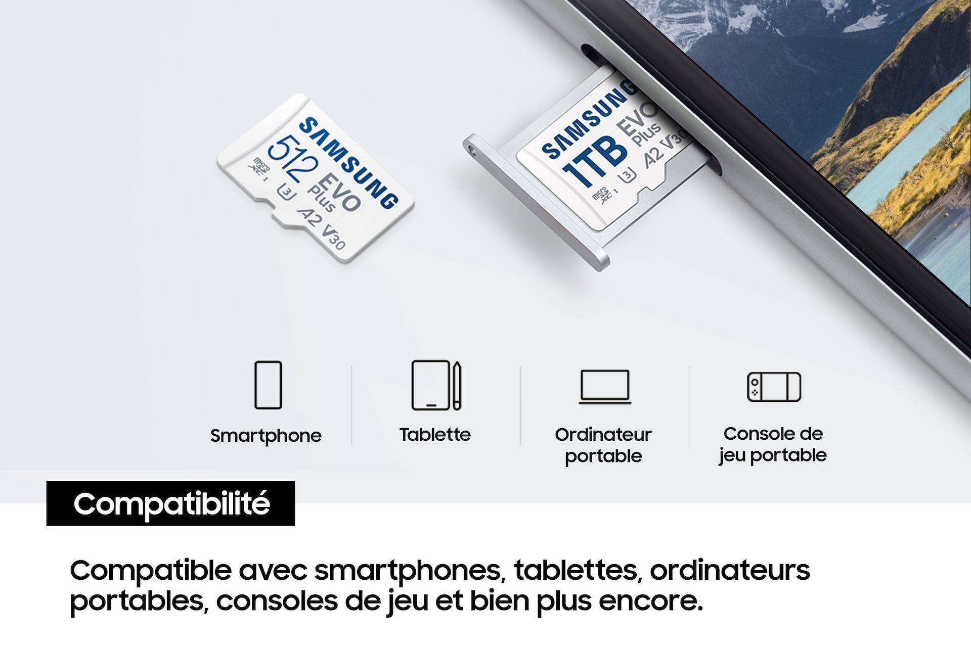 Samsung Carte MicroSD EVO Plus (2024) 256 Go