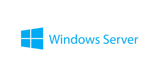 Lenovo Windows Server 2019 Licence d'accès client 5 licence(s)