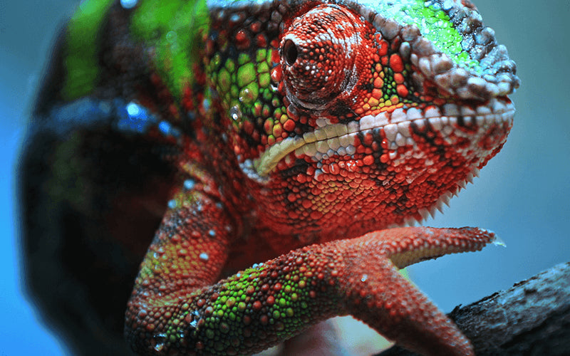 Epson EH-TW7100 Projecteur à focale standard 3000 ANSI lumens 3LCD UHD 4K (3840x2160) Compatibilité 3D Blanc