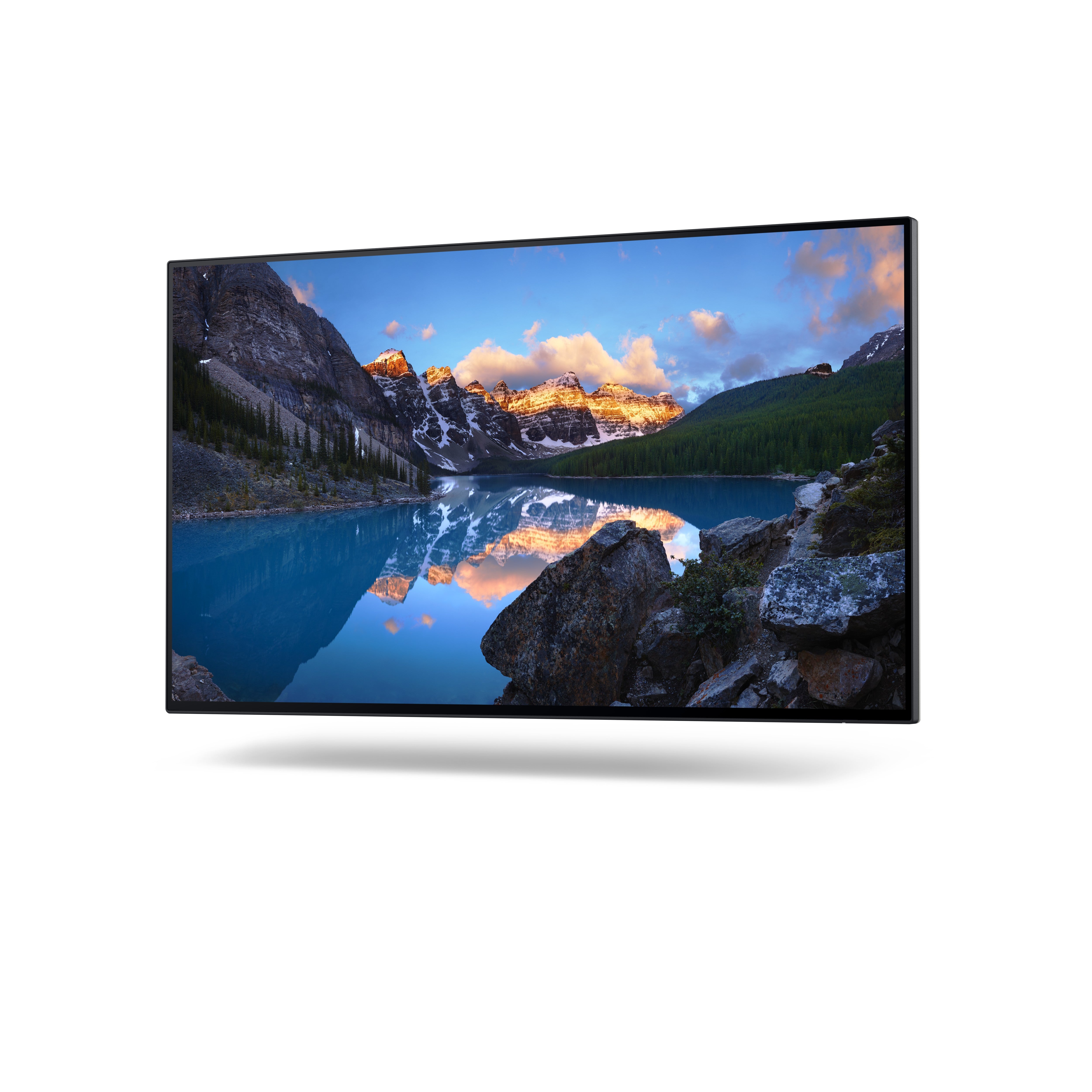 DELL UltraSharp Écran 24 - U2422H