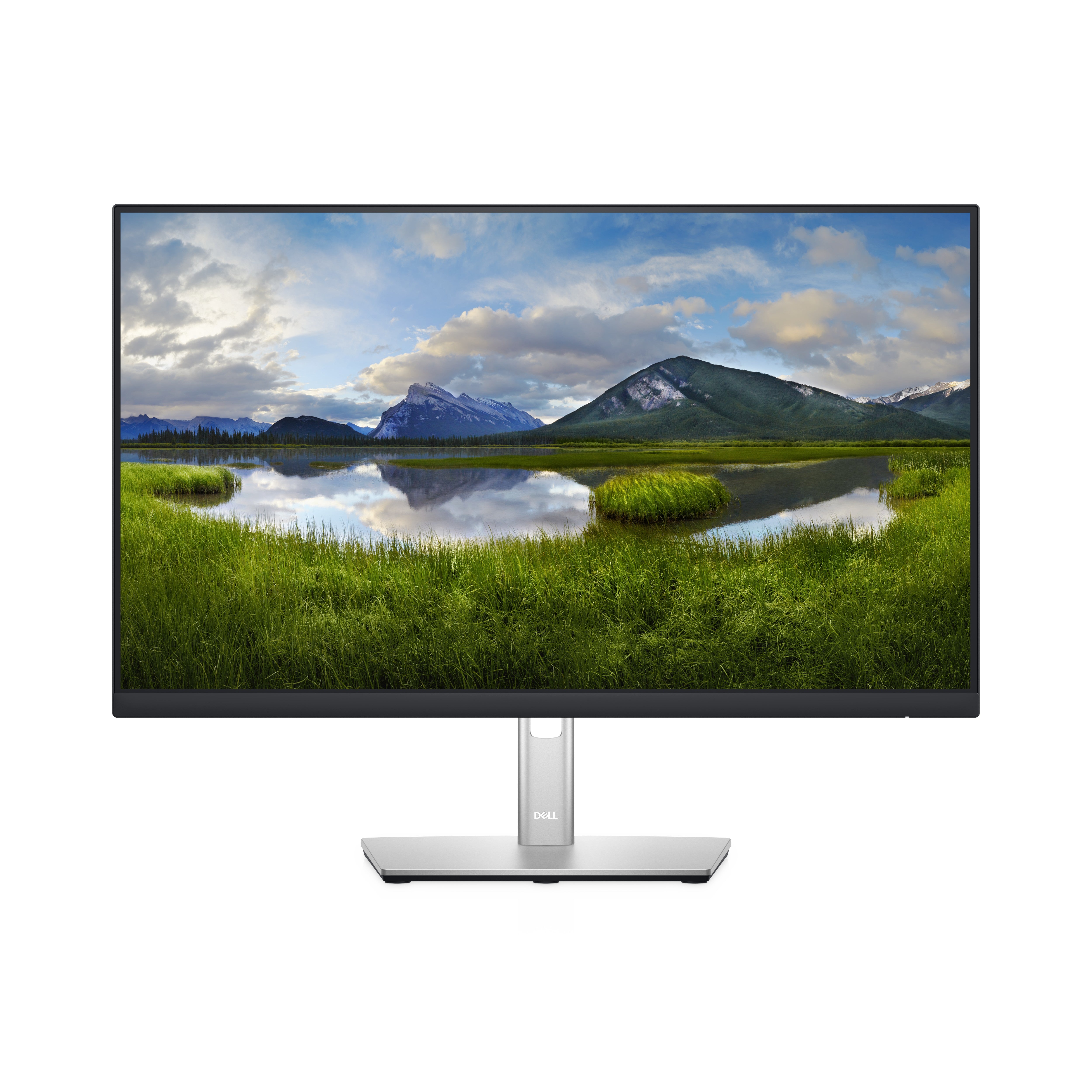 DELL P Series Écran 24 – P2422H
