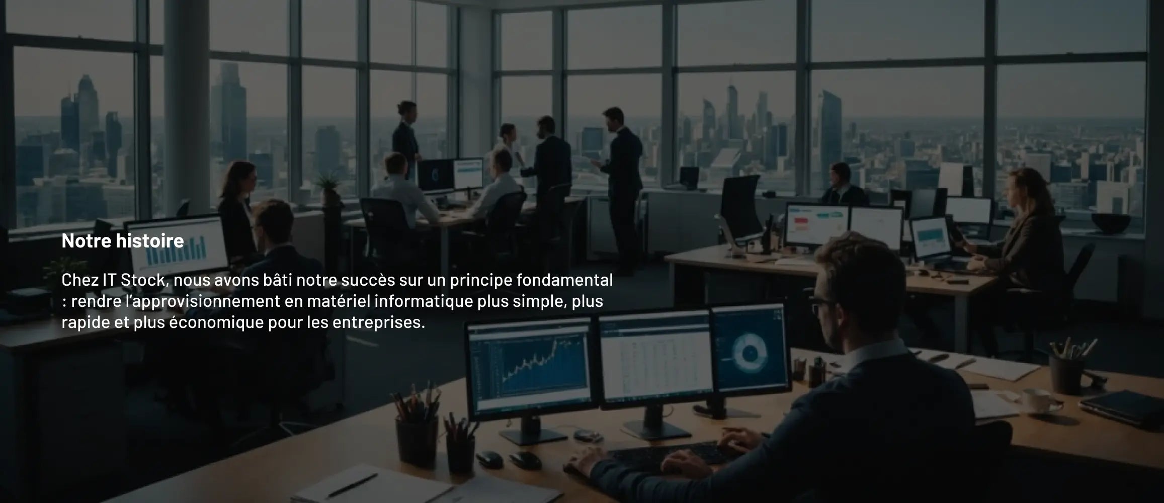 image expliquant l'histoire de ITStock (web)