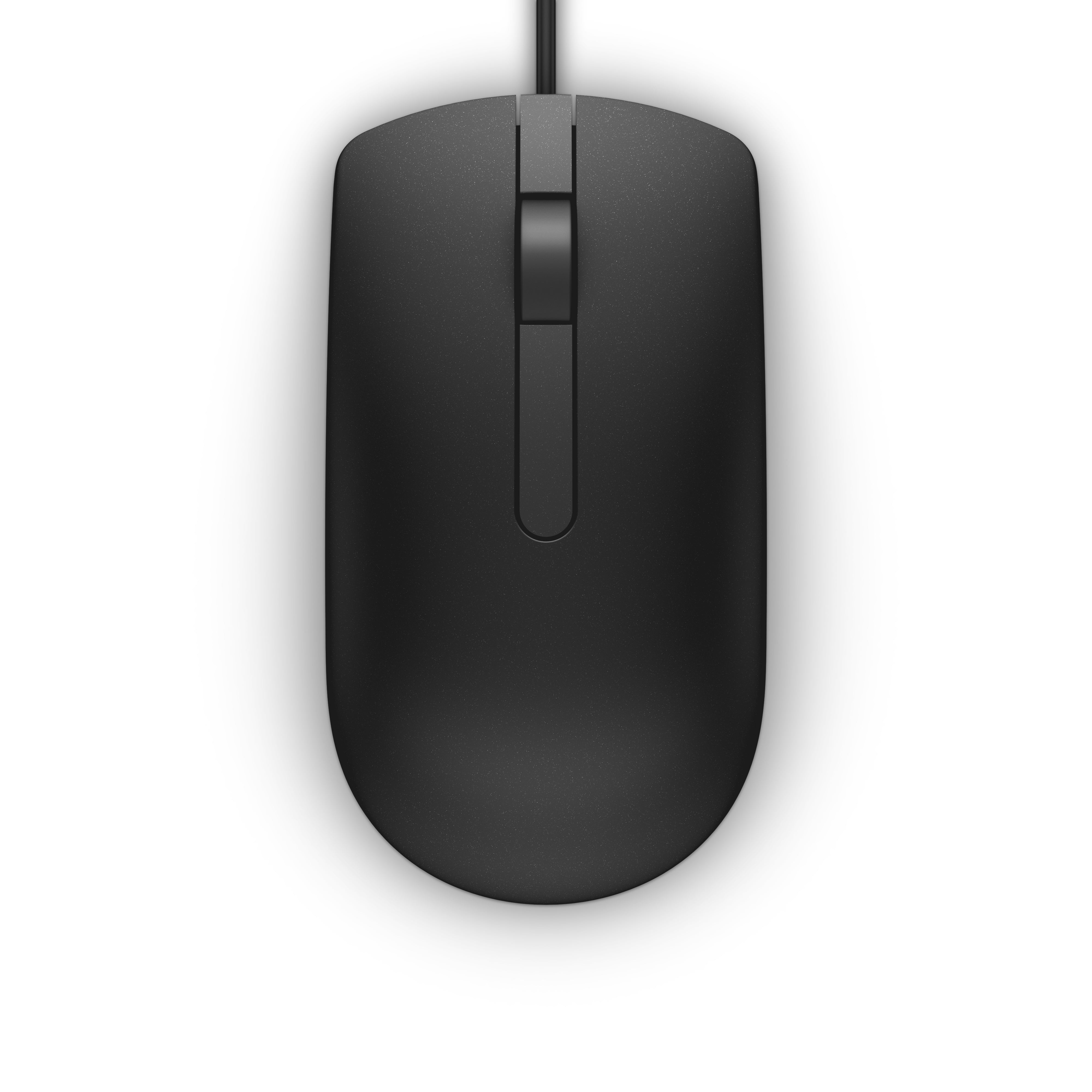 DELL MS116 souris Bureau Ambidextre USB Type-A Optique 1000 DPI