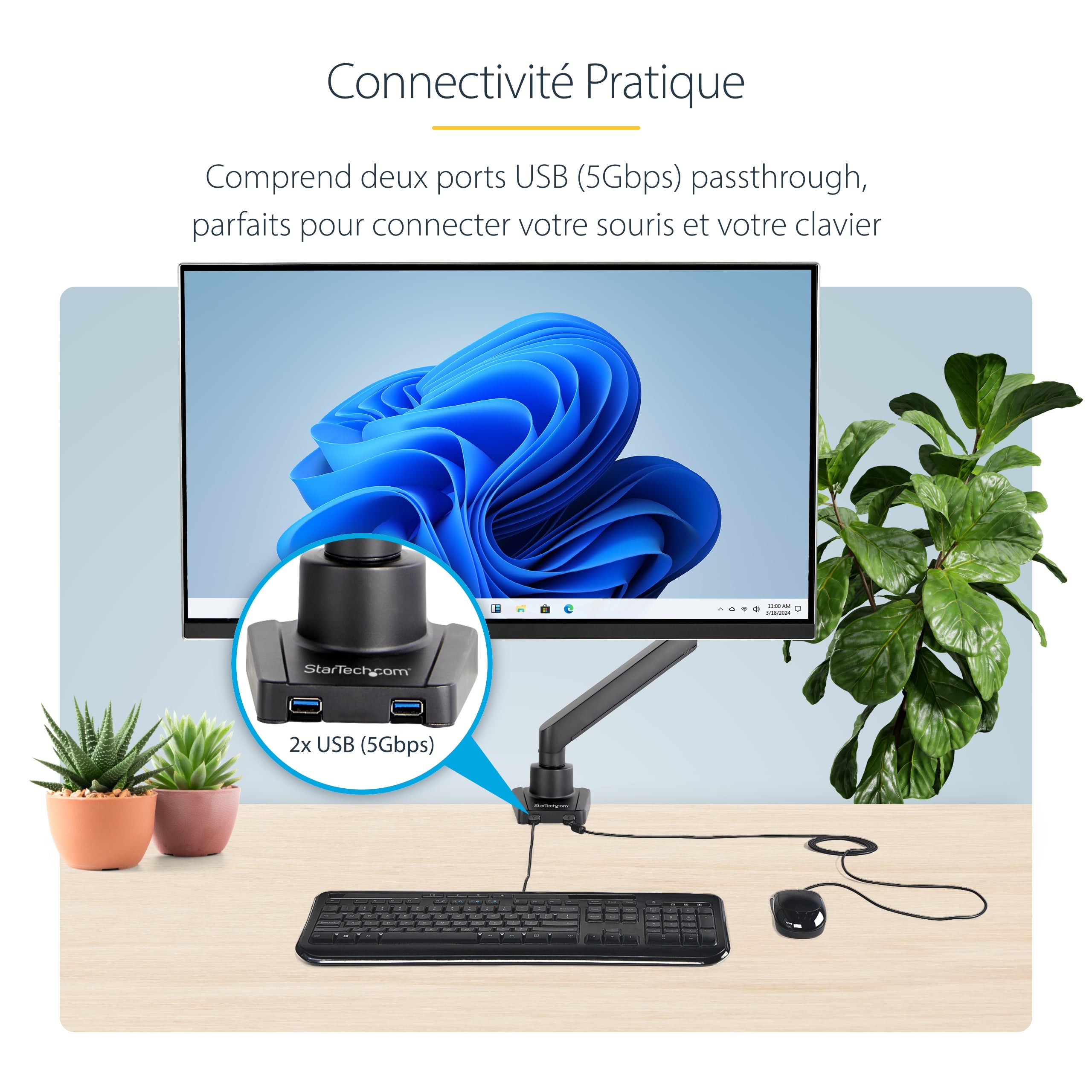 StarTech.com ARMSLIM2USB3 support d'écran plat pour bureau 86,4 cm (34") Noir