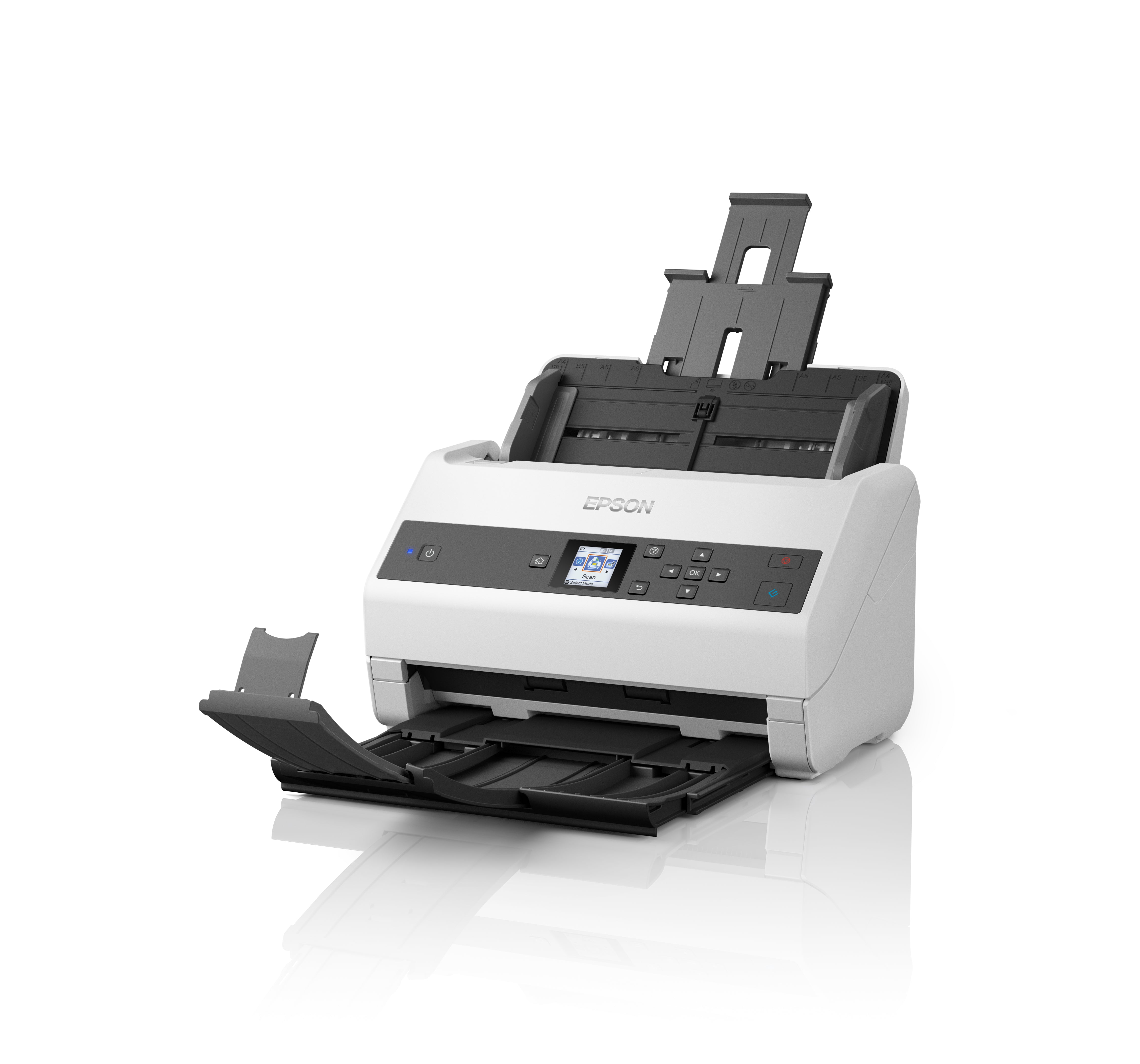 Epson WorkForce DS-870 Alimentation papier de scanner 600 x 600 DPI A4 Gris, Blanc