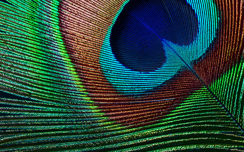 Epson EH-TW7000 Projecteur à focale standard 3000 ANSI lumens 3LCD UHD 4K (3840x2160) Compatibilité 3D Blanc