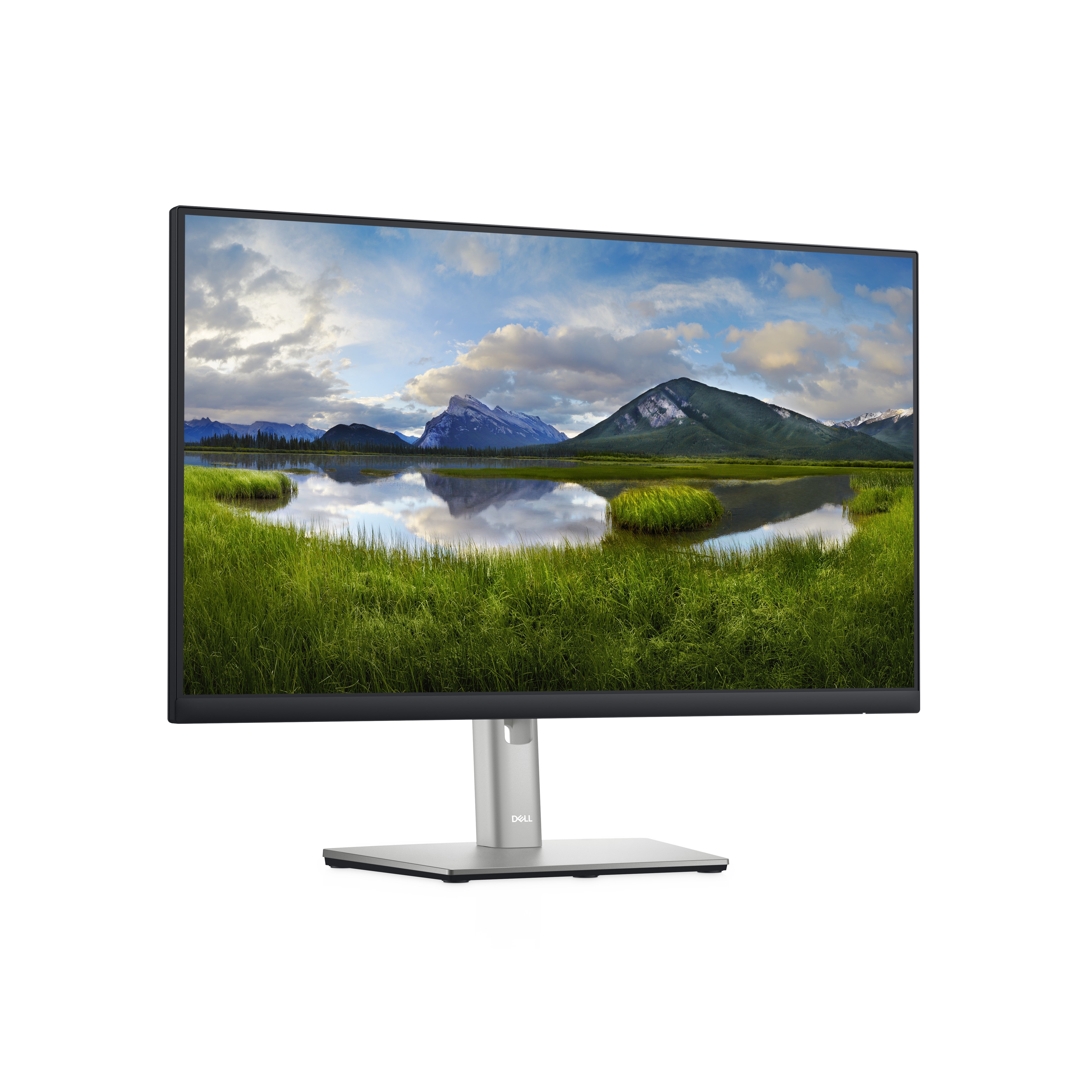 DELL P Series Écran 24 – P2422H