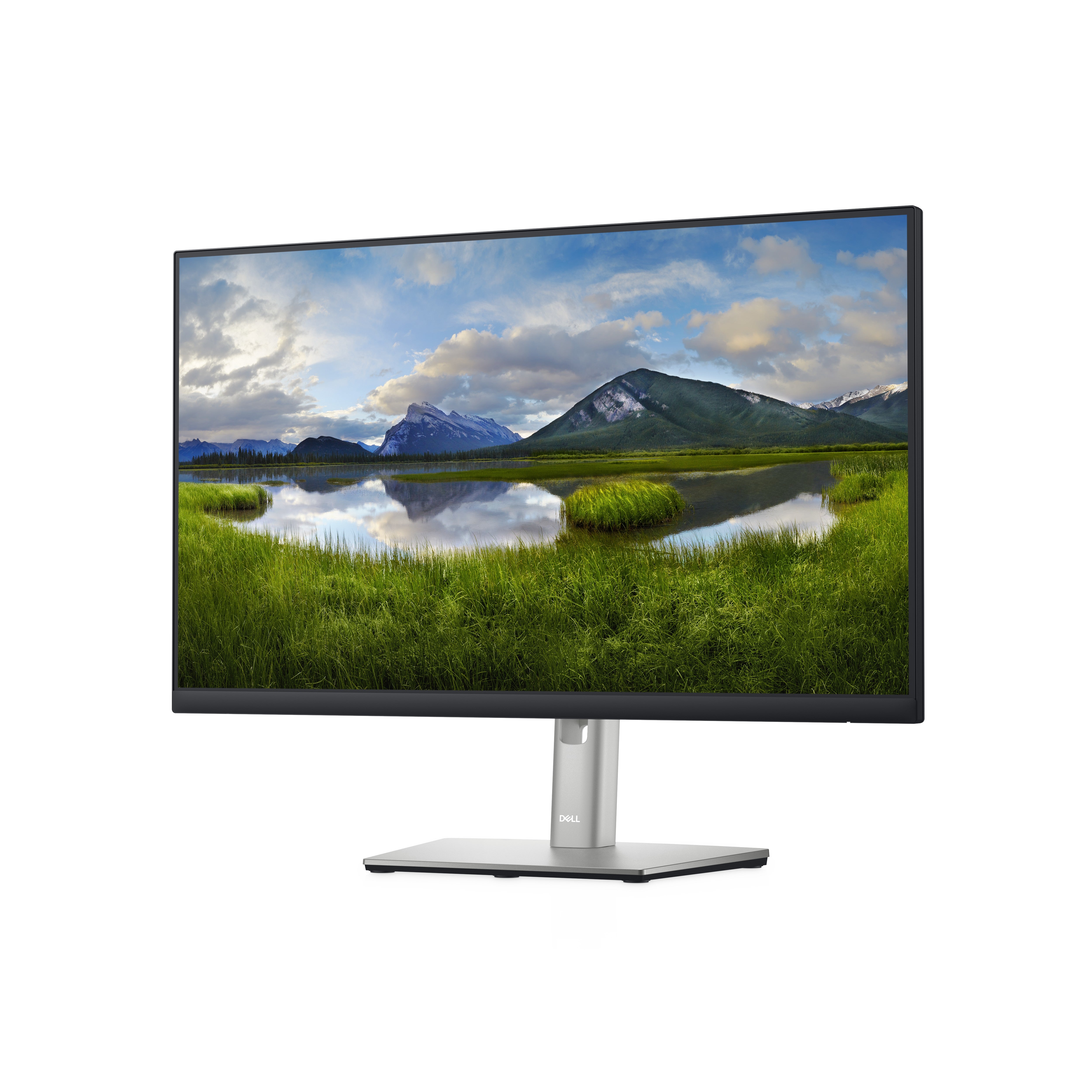 DELL P Series Écran 24  P2422H