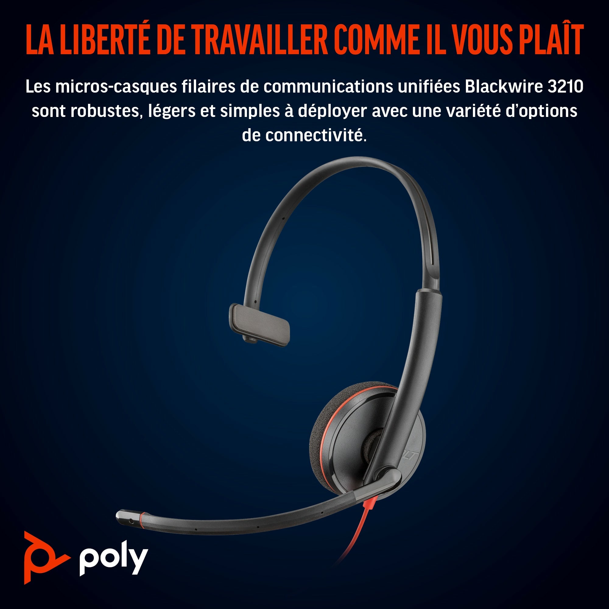POLY Blackwire C3210 USB-C noir (lot)