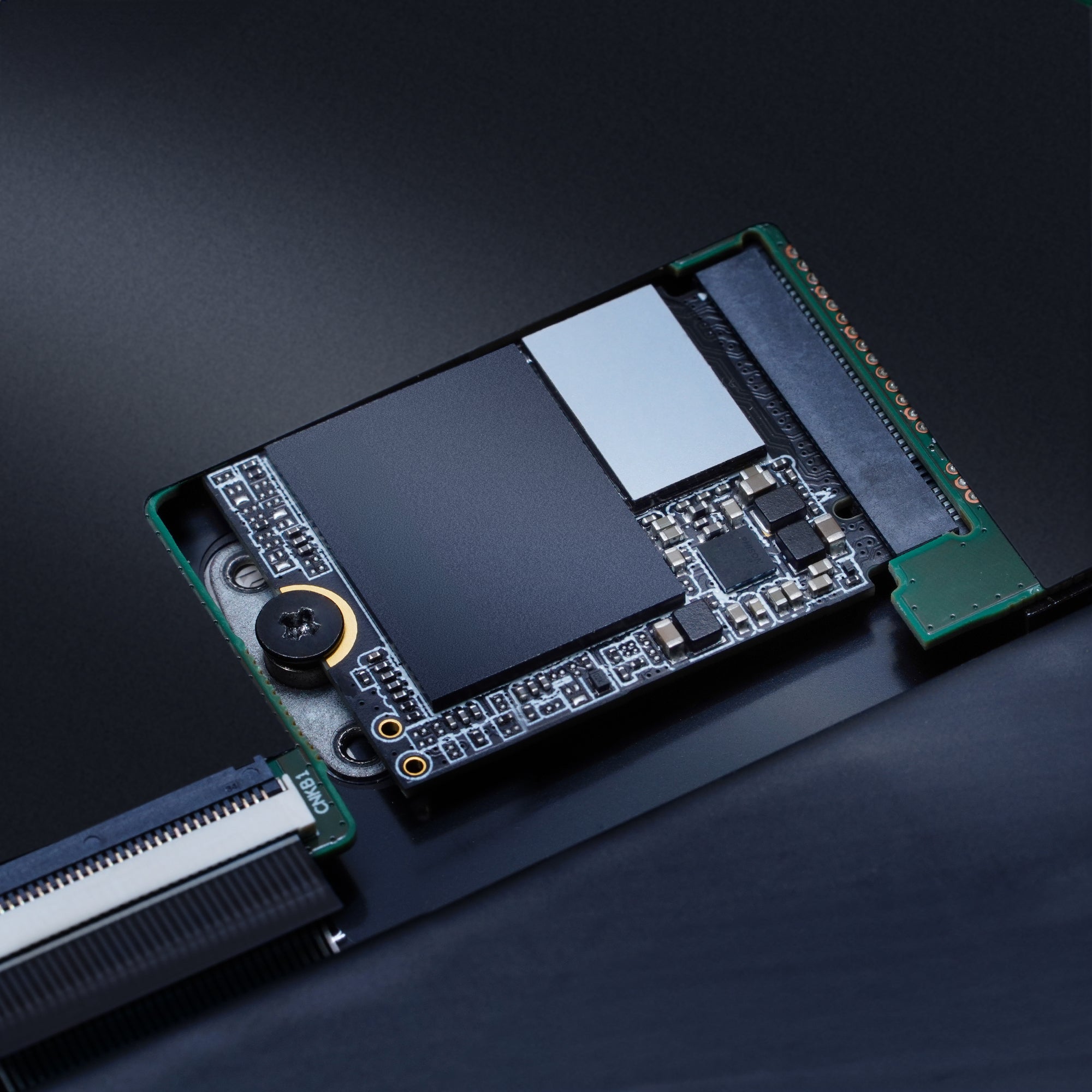 XPG GAMMIX S55 2 To M.2 PCI Express 4.0 NVMe 3D NAND